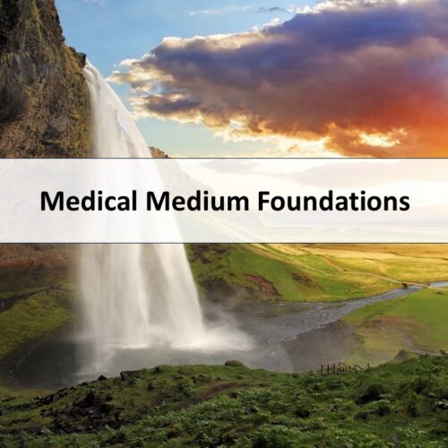 Medical Medium Foundations: Van Begin tot Praktijk (Dutch course)