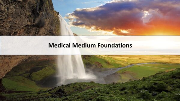 Medical Medium Foundations: Van Begin tot Praktijk (Dutch course)