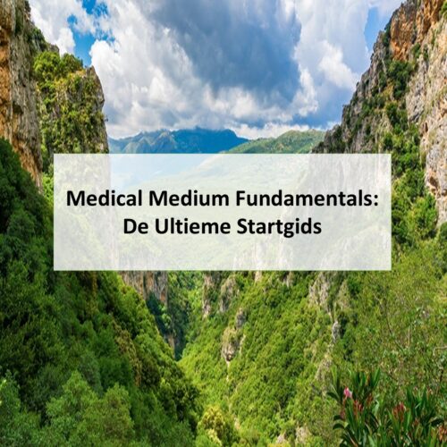 Medical Medium Foundations: Van Begin tot Praktijk (Dutch course)