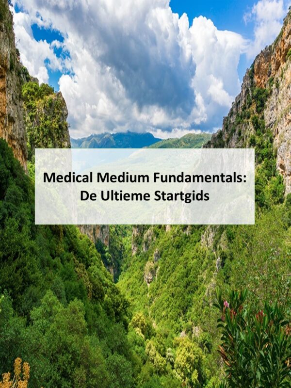 Medical Medium Foundations: Van Begin tot Praktijk (Dutch course)
